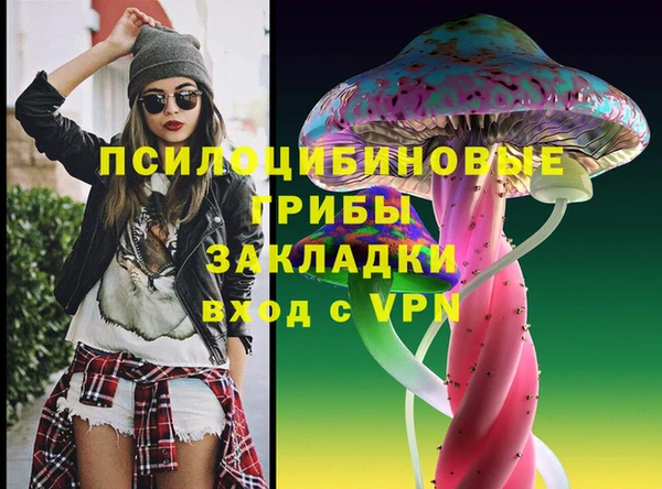 гидра Семёнов