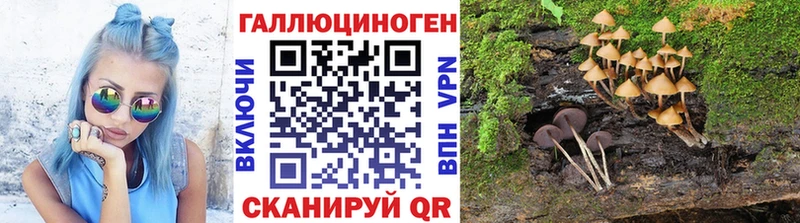 Псилоцибиновые грибы MAGIC MUSHROOMS  Купить закладки  Сосновый Бор