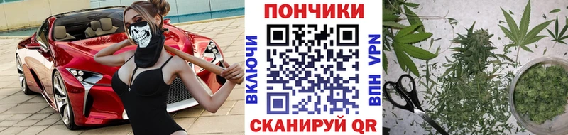 Каннабис планчик  Купить где  Сосновый Бор 