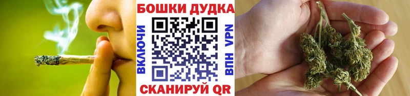 Бошки марихуана индика Сосновый Бор
